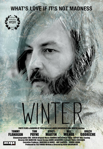Зима (2015)