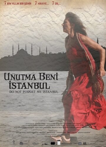 Не забывай меня, Стамбул (2010)