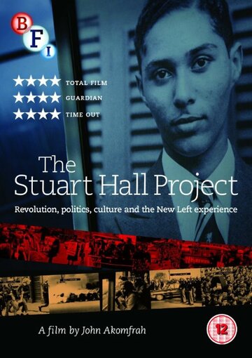 Проект Стюарта Холла (2013)